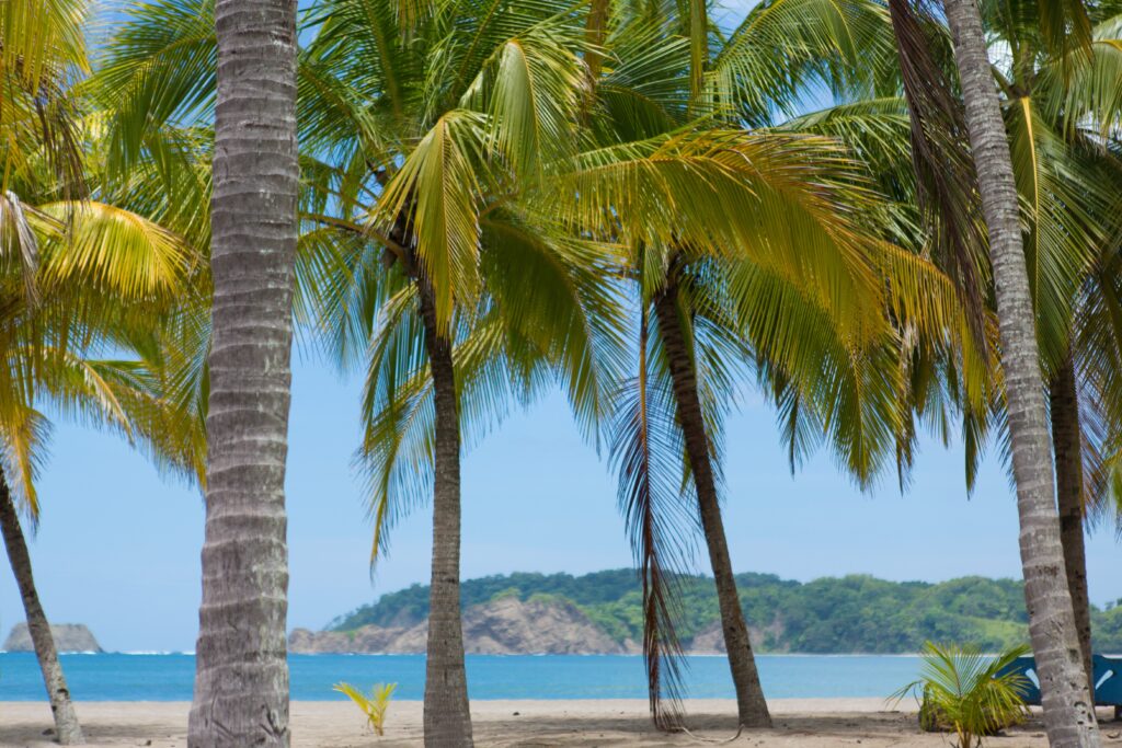 Sous les pavés, la plage
